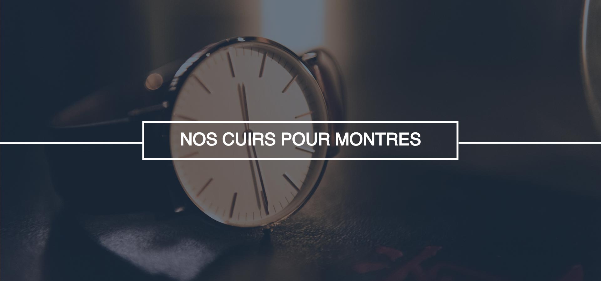 cover montres